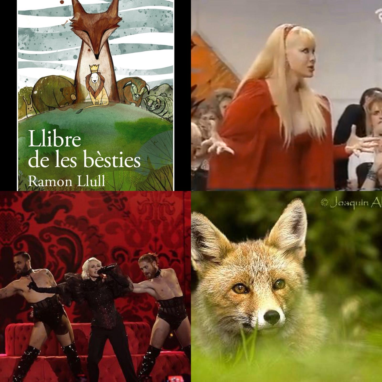 Hui el professor Santi Cortells, ens parla de l’origen de la paraula «Zorra»