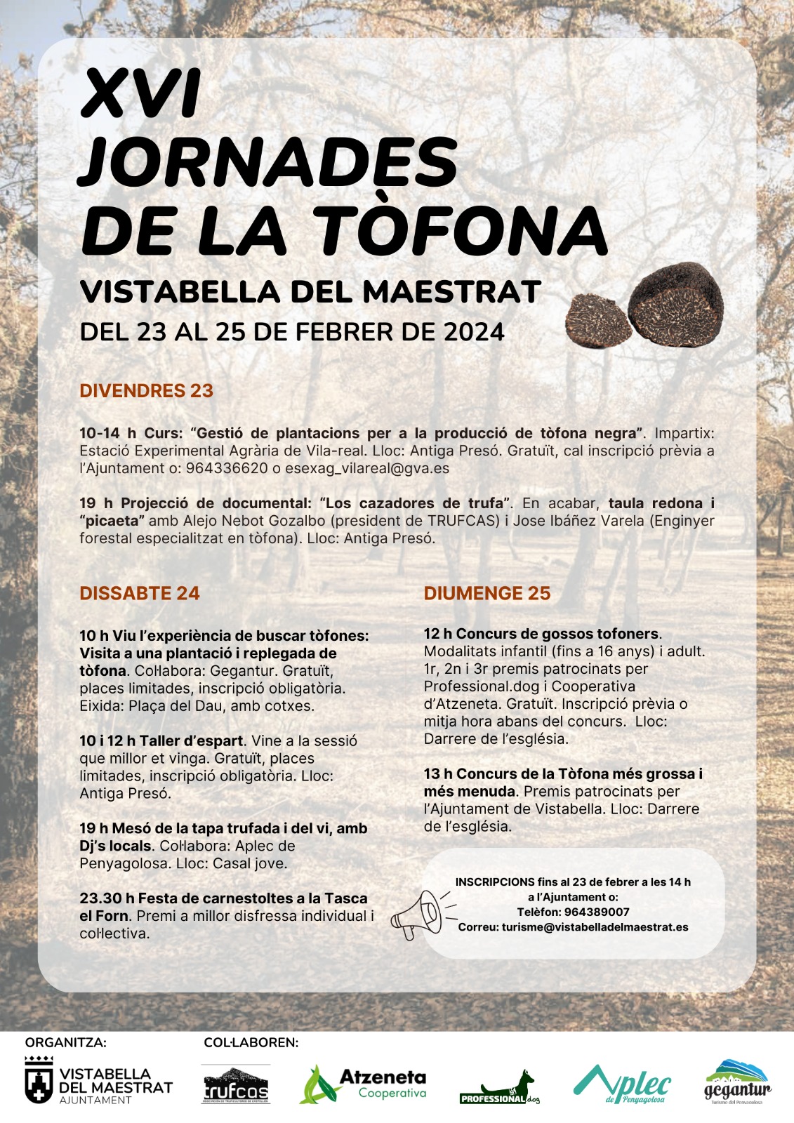 Vistabella potència el turisme gastronòmic amb les XVI Jornades de la Tòfona