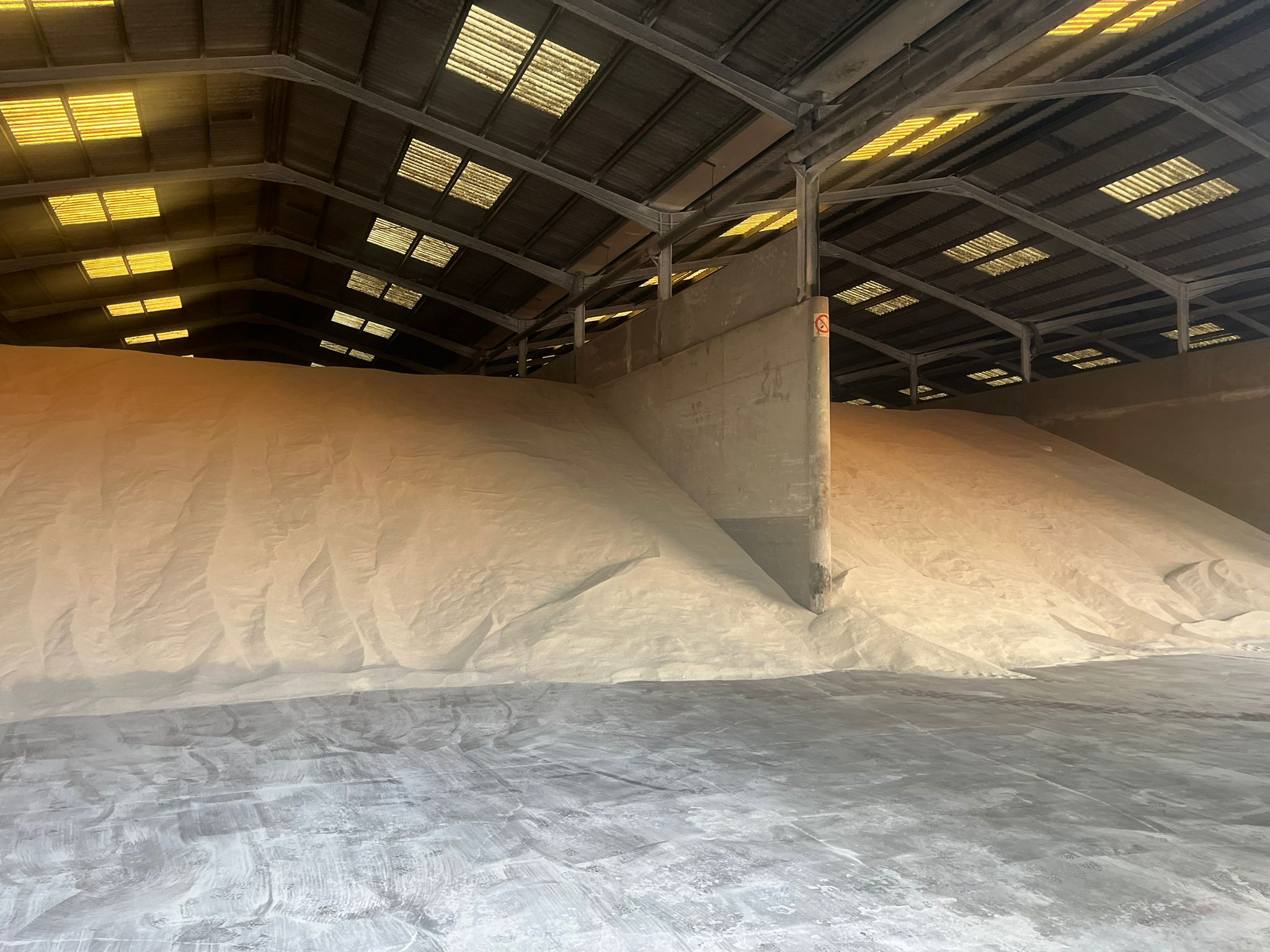 LA UNIÓ denuncia que empreses espanyoles i valencianes importen i distribueixen en només tres dies l’arròs equivalent a un terç de la producció de la Comunitat Valenciana