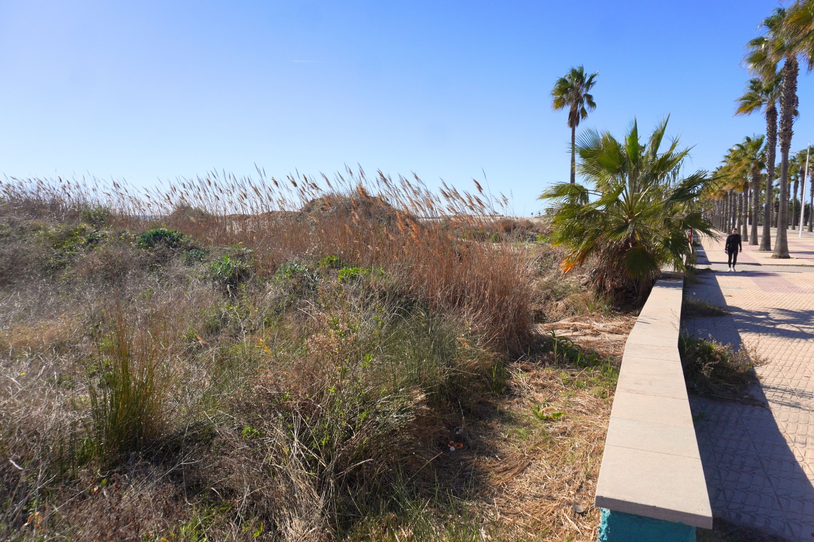 Burriana obri expedient a l’empresa concessionària de la neteja del Clot de La Mare de Déu i de l’Arenal