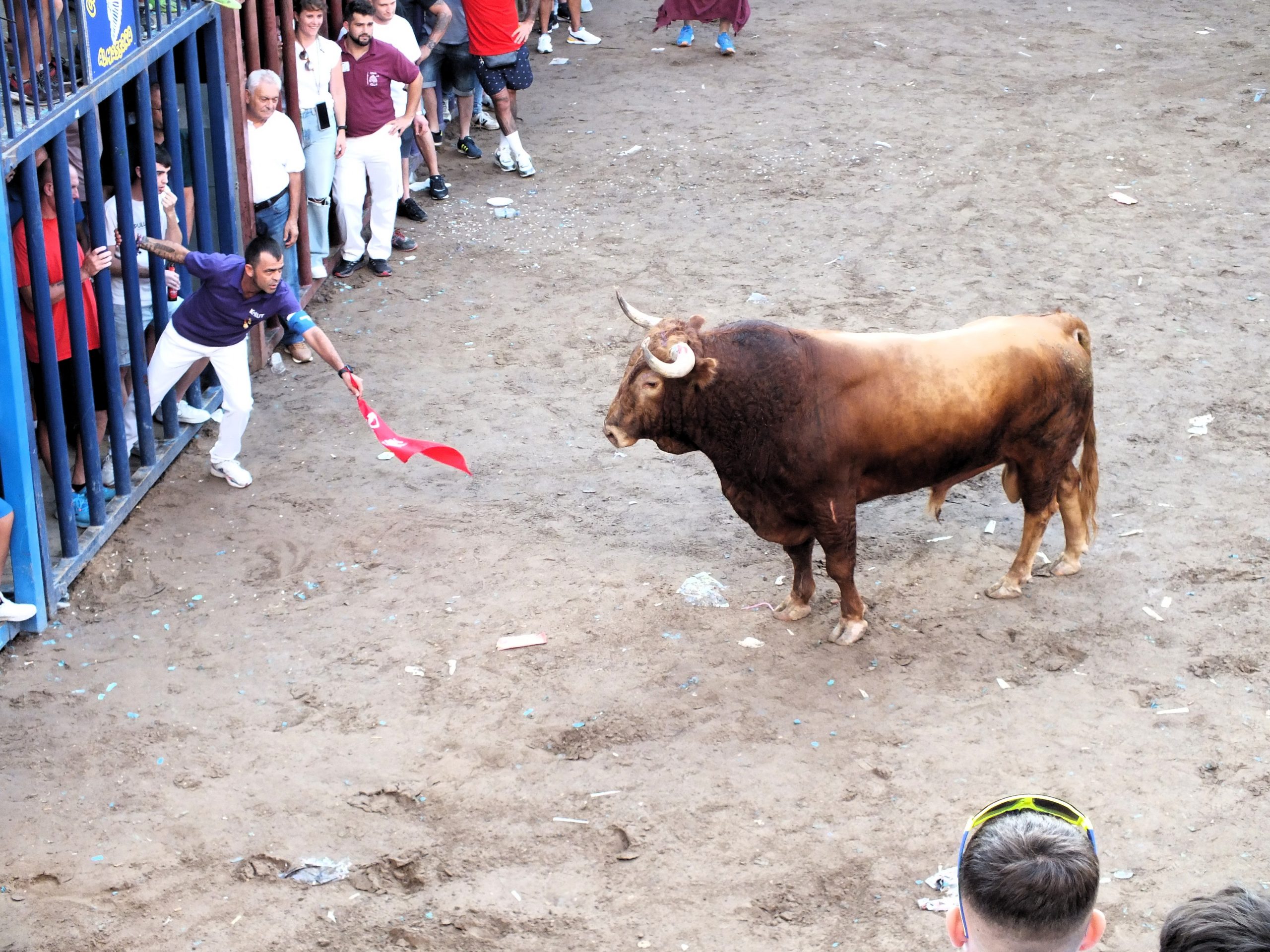 Almassora convoca el Concurs de Fotografia Taurina per a les festes de Santa Quitèria