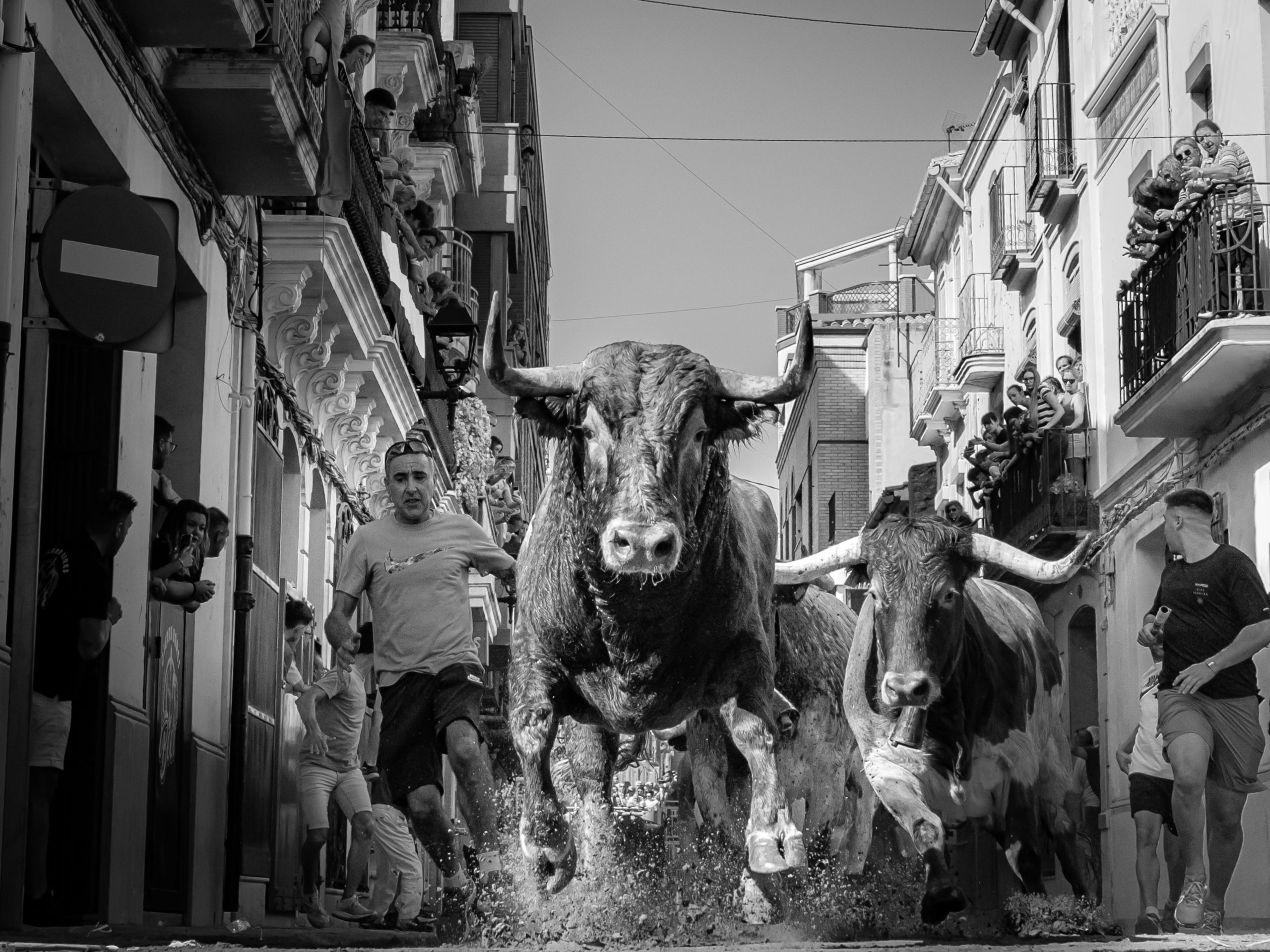 Almassora dona a conéixer els noms dels guanyadors del Concurs de Fotografia Taurina Festes de Santa Quitèria