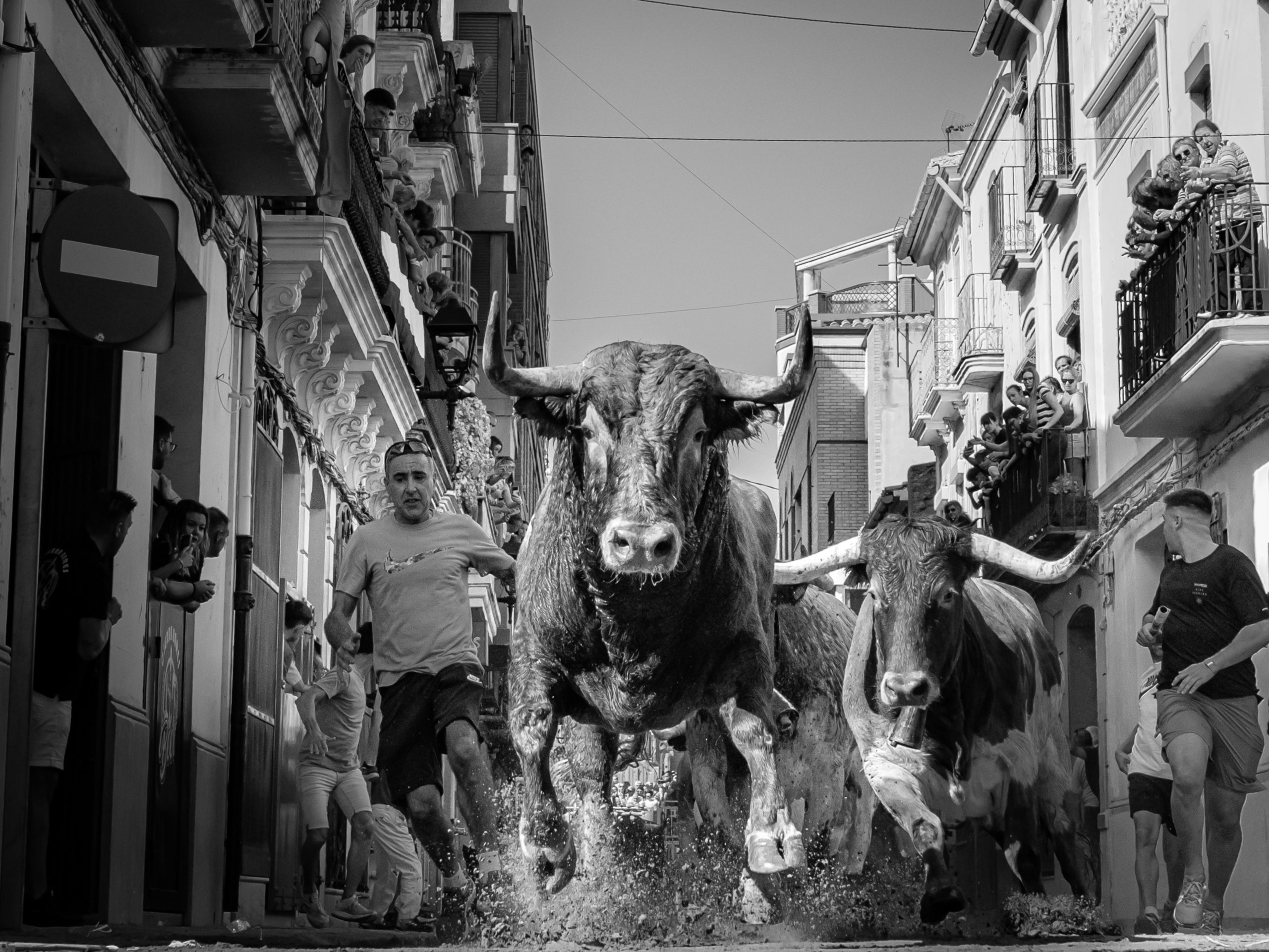 Almassora dona a conéixer els noms dels guanyadors del Concurs de Fotografia Taurina Festes de Santa Quitèria