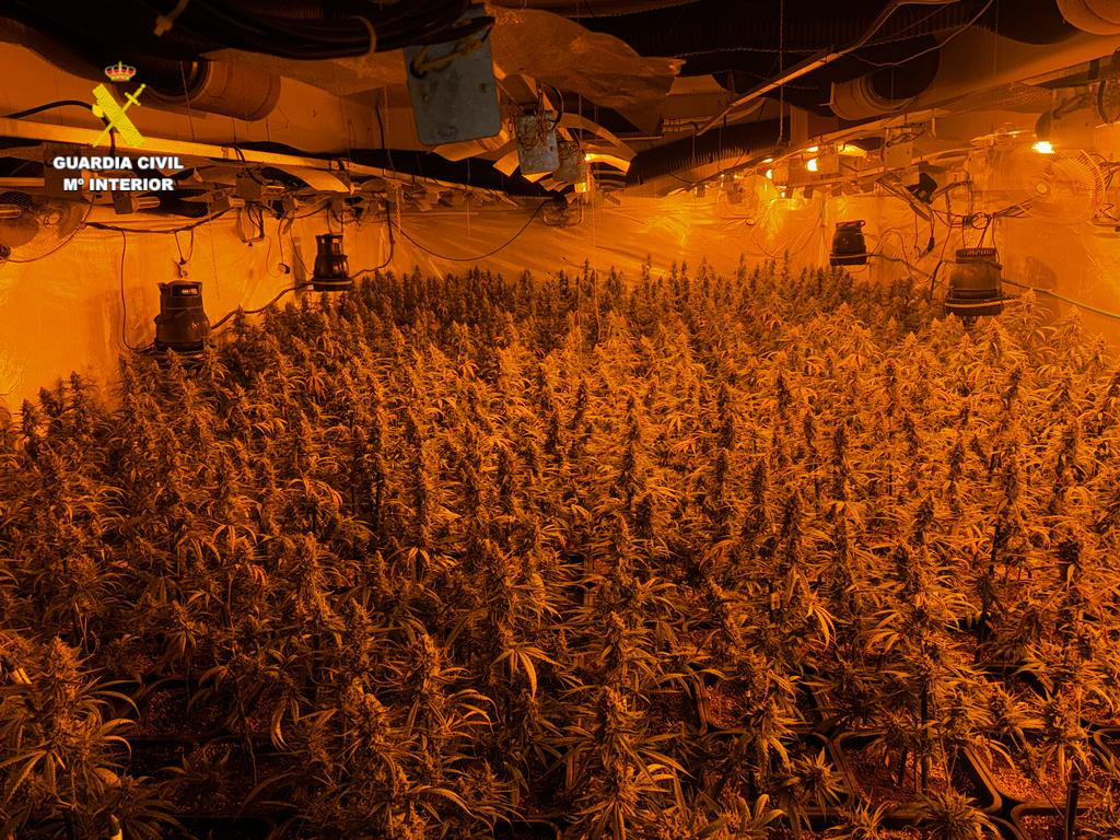 Desmantellats dos laboratoris ‘indoor’ de marihuana a L’Alcora