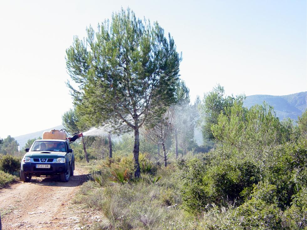 La Generalitat intensifica els treballs per al control de plagues en les muntanyes de la Comunitat Valenciana
