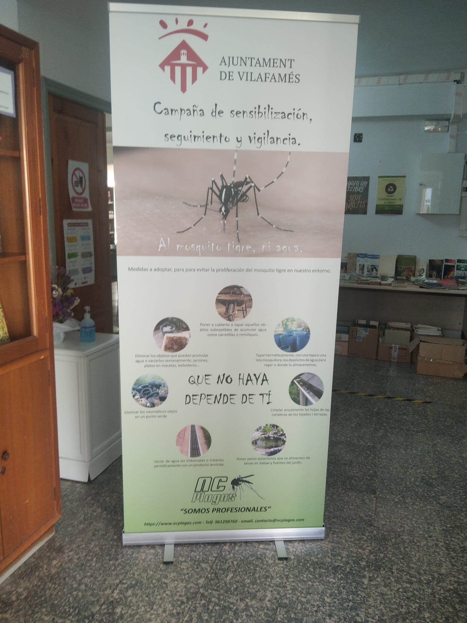 Vilafamés actua contra les plagues de panderoles i rates