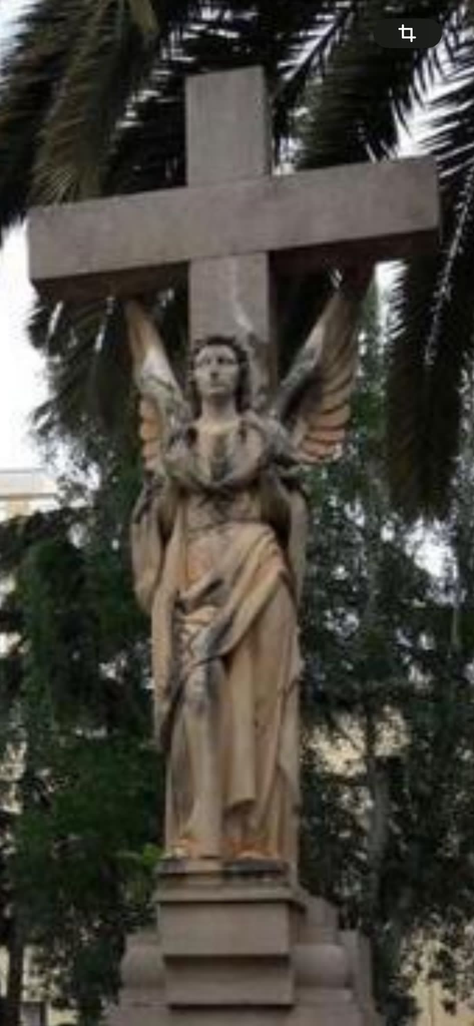 Hui el professor Santi Cortells, ens parla «d´àngels»