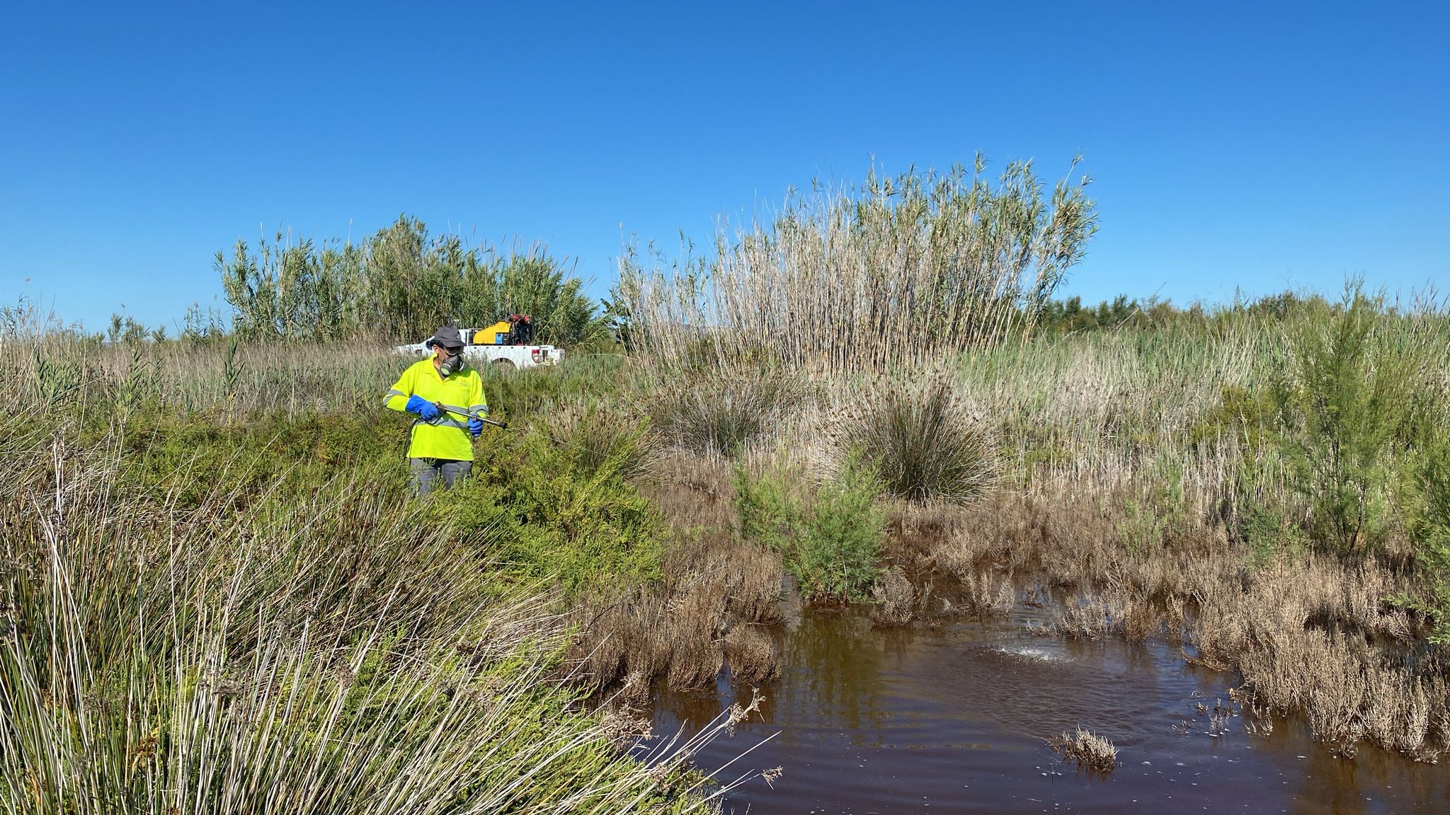 La Diputació de Castelló intensifica el control de plagues de mosquit tigre i realitza inspeccions entomològiques en municipis de la província on encara no s’ha registrat la seua presència