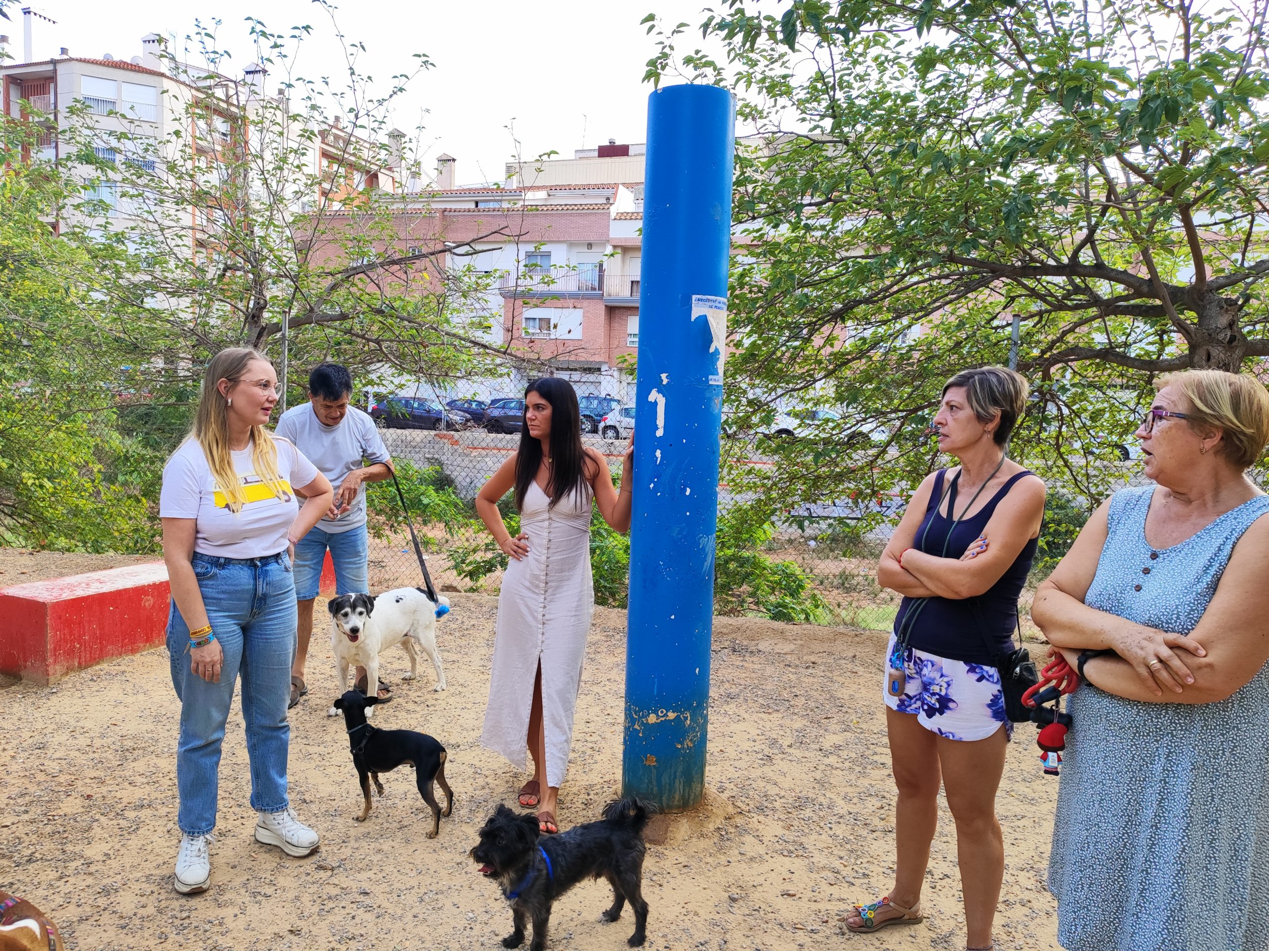 Vila-real lluita contra els excrements i  orines de gossos amb kits i sancions