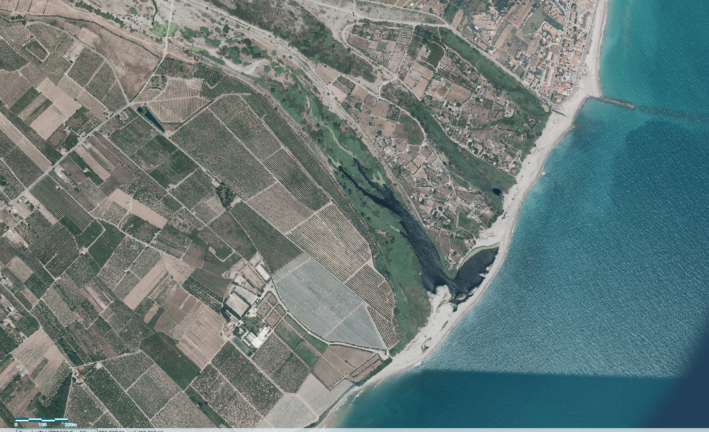 La Generalitat invertix 84.843,58 euros per a l’eliminació de canyars i regenerar el Riu Millars en el terme de Burriana