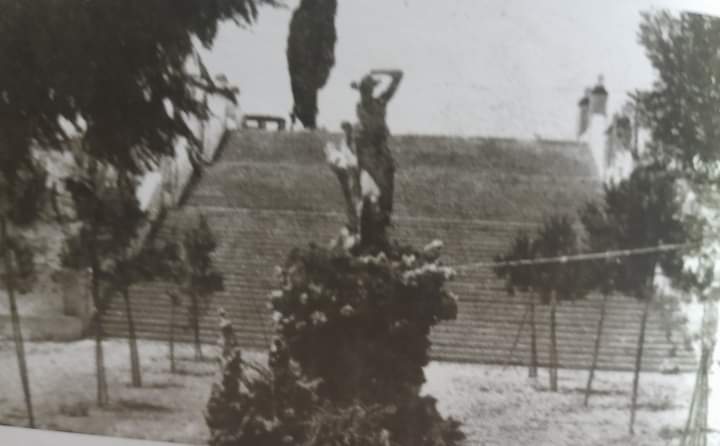 Luis Cabedo ens parla d´estiuejar en el paratge de la Verge de Gràcia