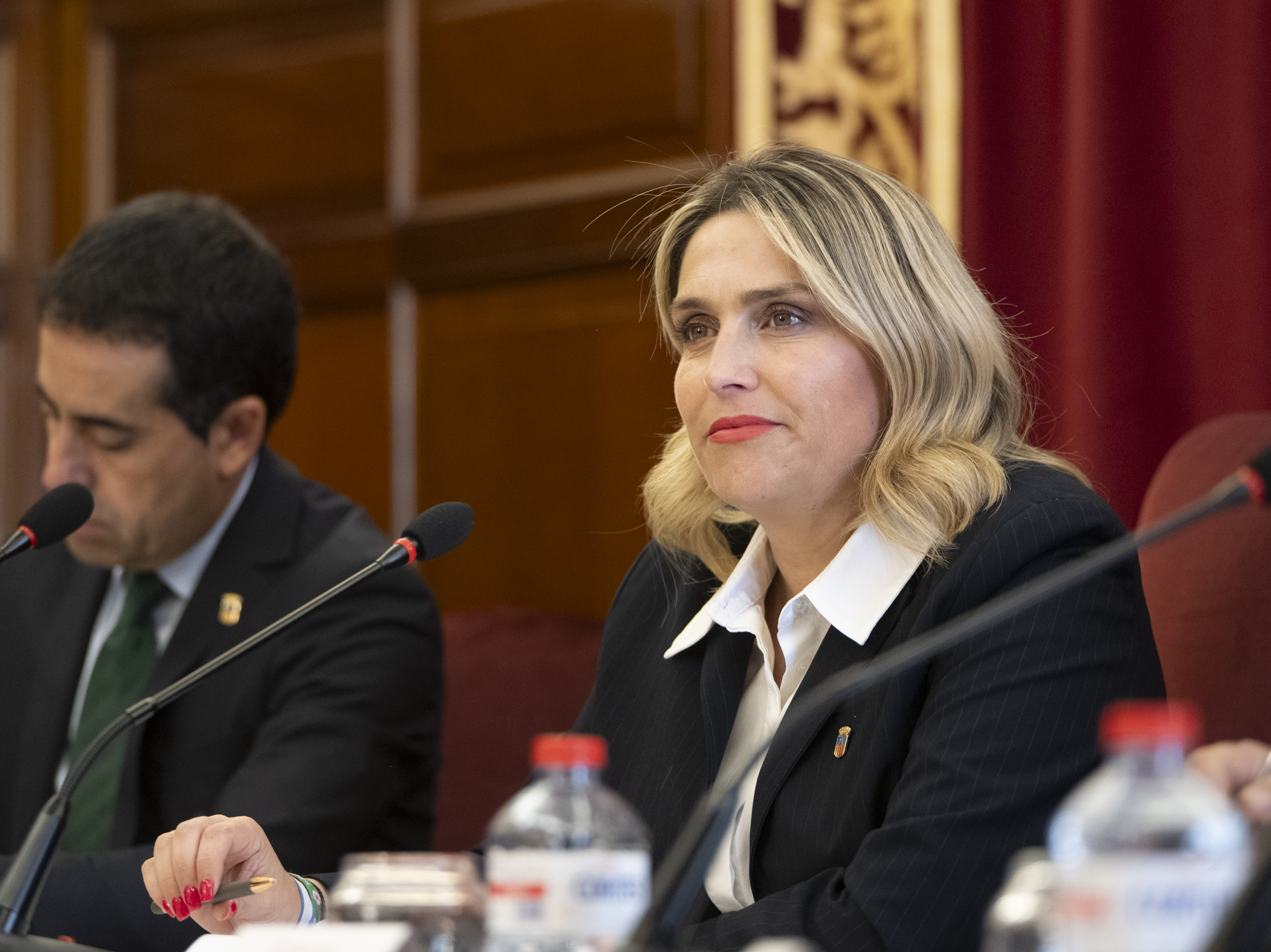 La Diputació de Castelló instarà el Govern d’Espanya que revertisca els actuals compromisos de puntualitat de Renfe