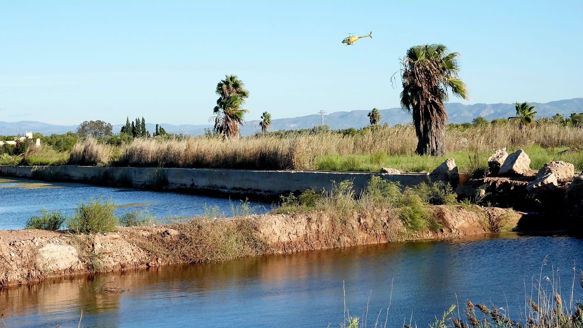 Borriana realitza tractament aeri contra els mosquits després de més de 10 anys