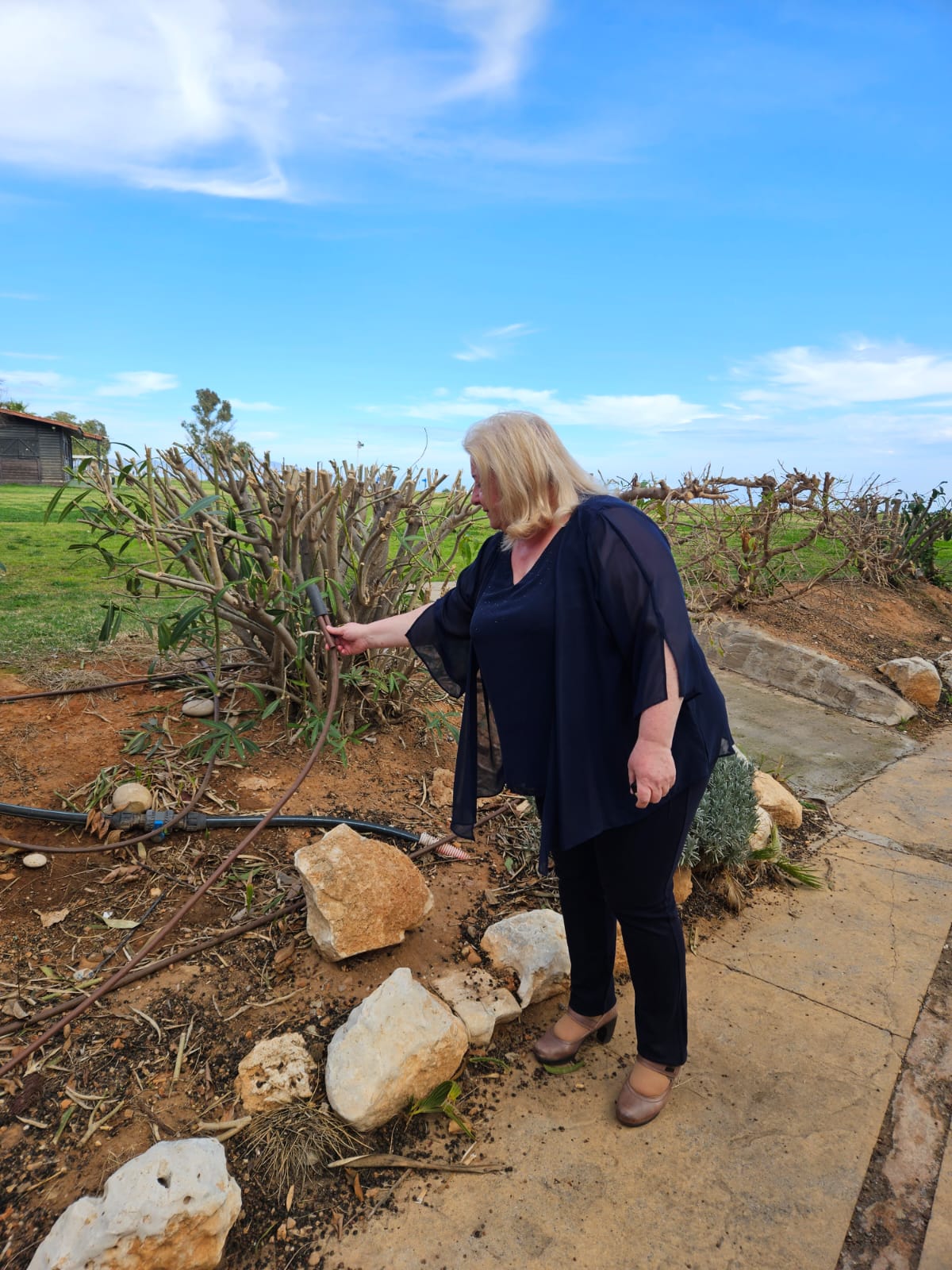 L’Ajuntament d’Orpesa adjudica les obres xarxa de reg de la zona nord dels Amplàries
