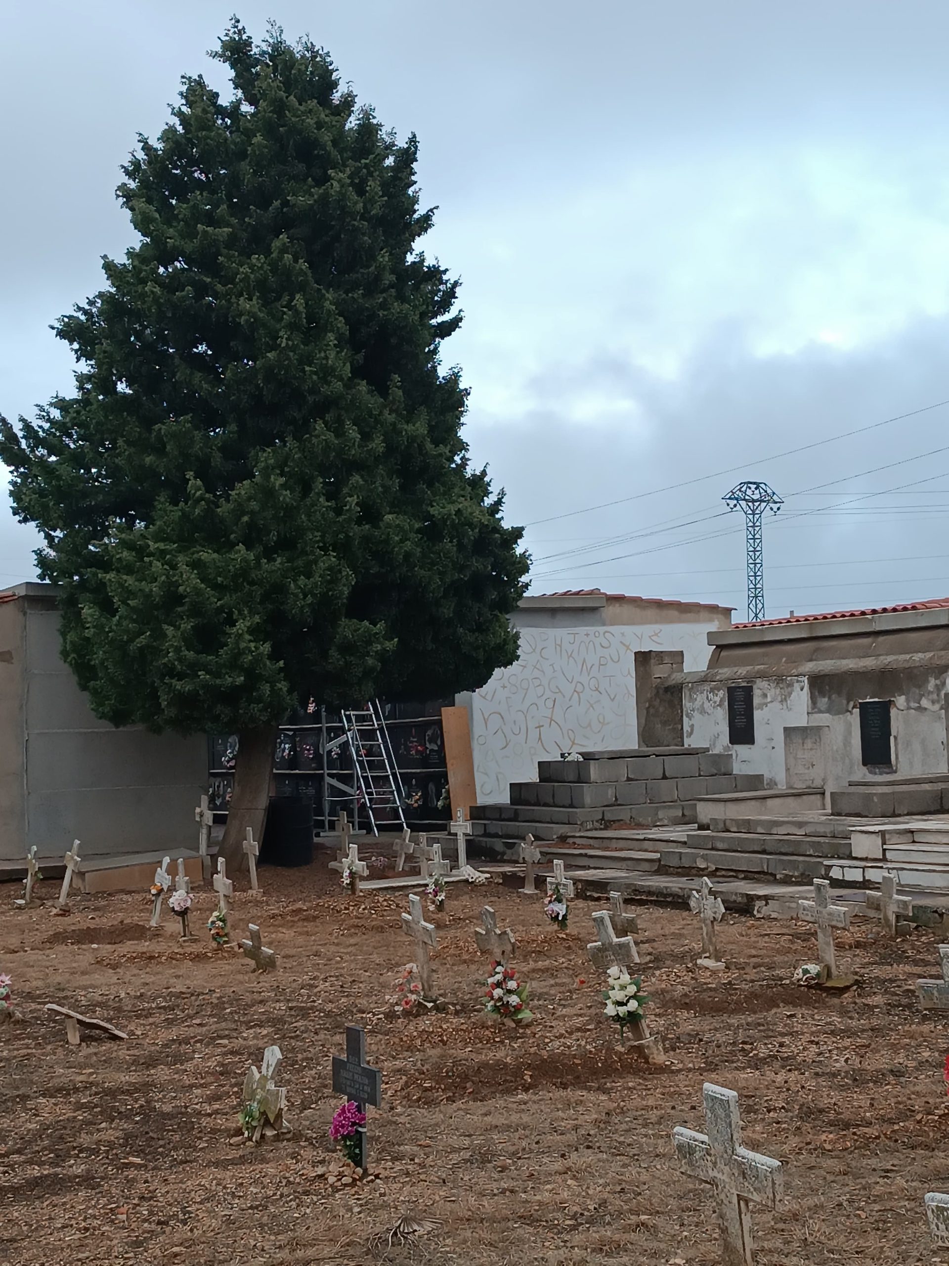 Un mural que facilitarà la ubicació dels cossos trobats a les excavacions del terme de Vilafranca