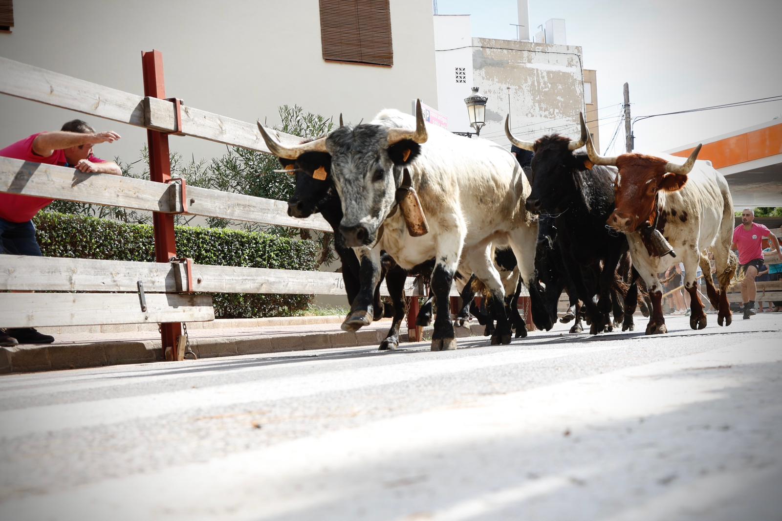 El Dia del Pilar, els tancaments a «l’estil oropesino» i el Dia de la Bicicleta marcaran l’últim cap de setmana de les festes patronals