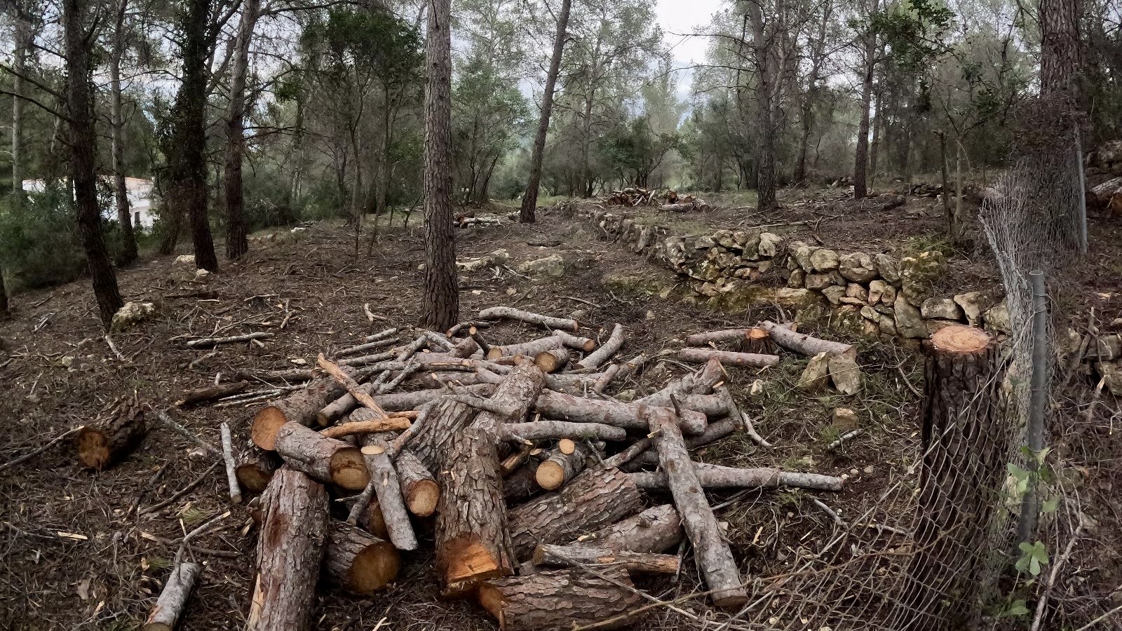 Onda refuerza la seguridad en Riu Sonella con nuevas acciones de prevención de incendios forestales