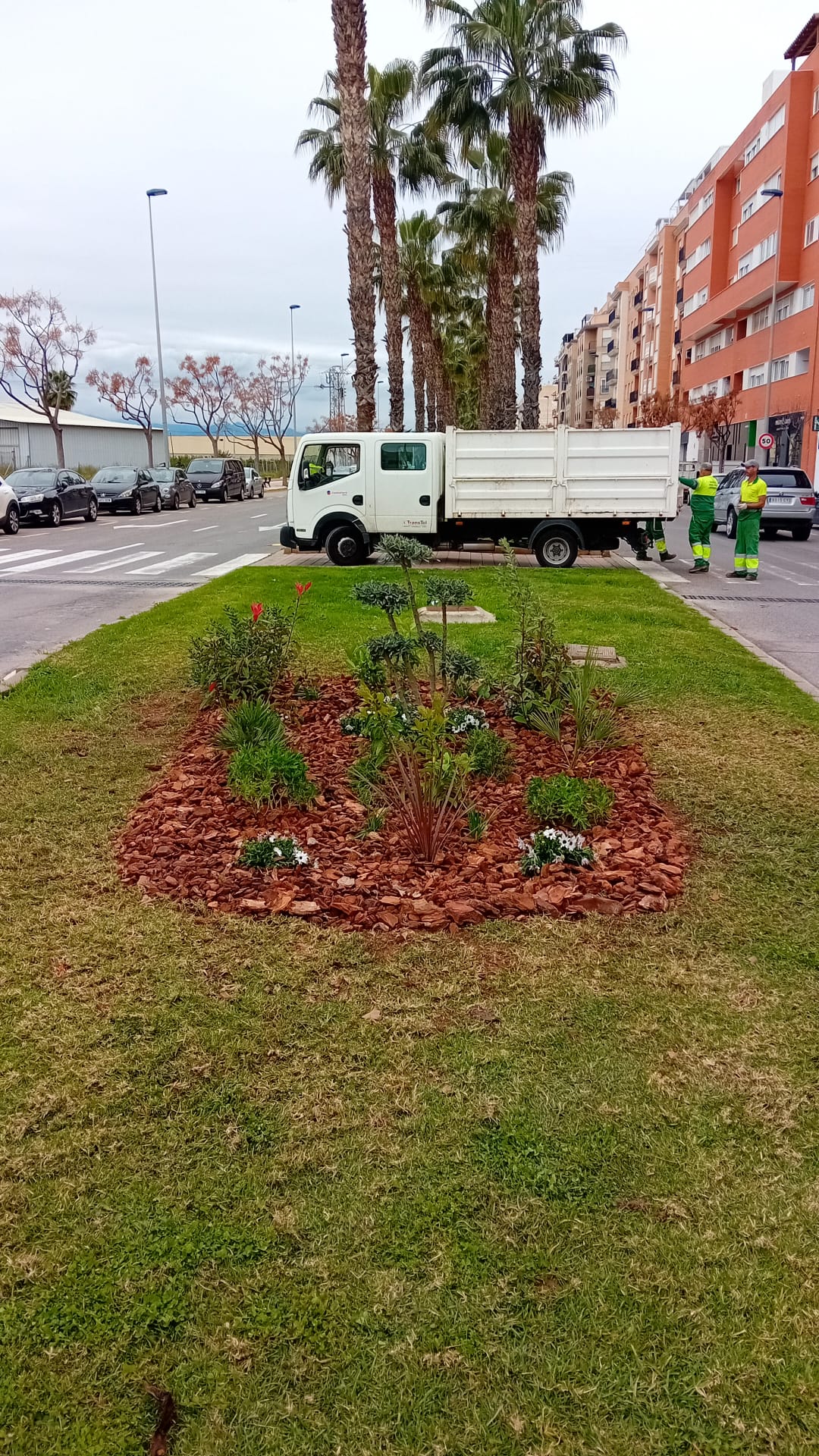 Noves zones verdes marquen el camí de la renaturalització de Burriana
