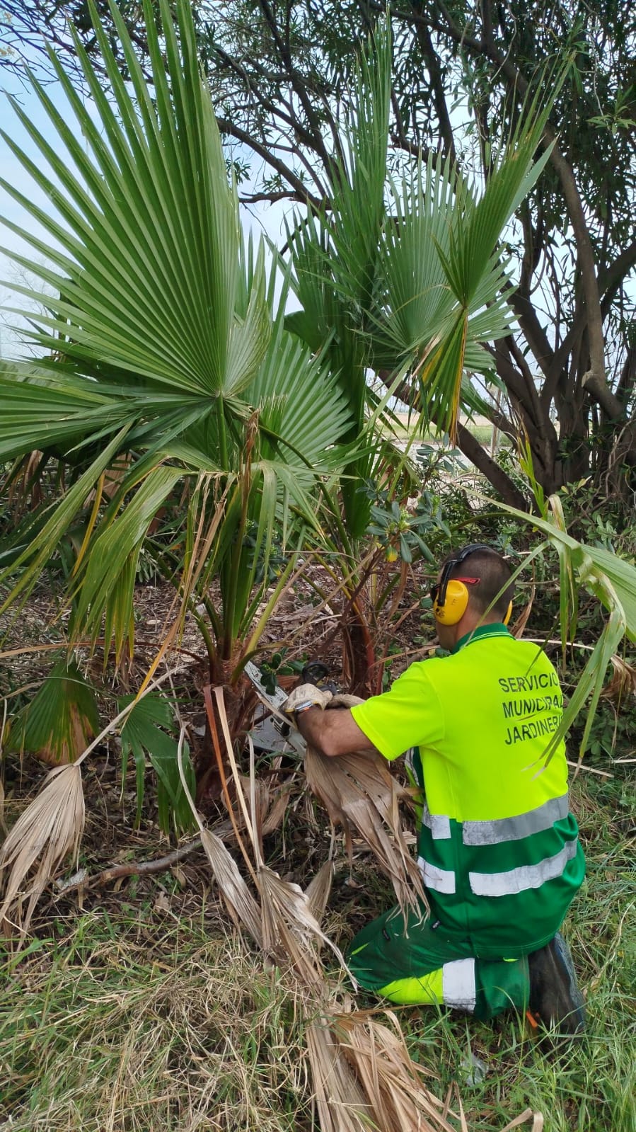 Burriana i Centre Verd col·laboren en la inserció laboral d’alumnes del Centre d’Educació Especial Pla Hortolans