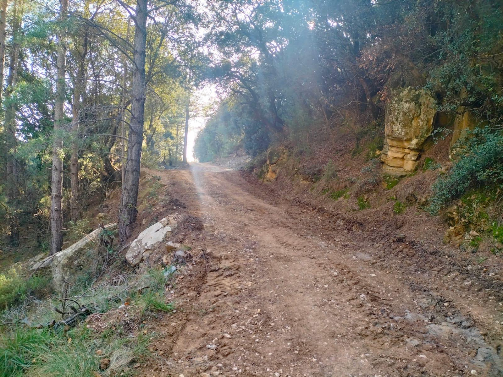 Paraula del dia «muntanya»