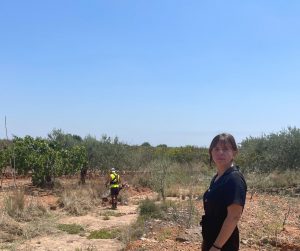 Betxí impulsarà l’ocupació agrària aquest estiu amb una nova inversió de més de 60.000 euros