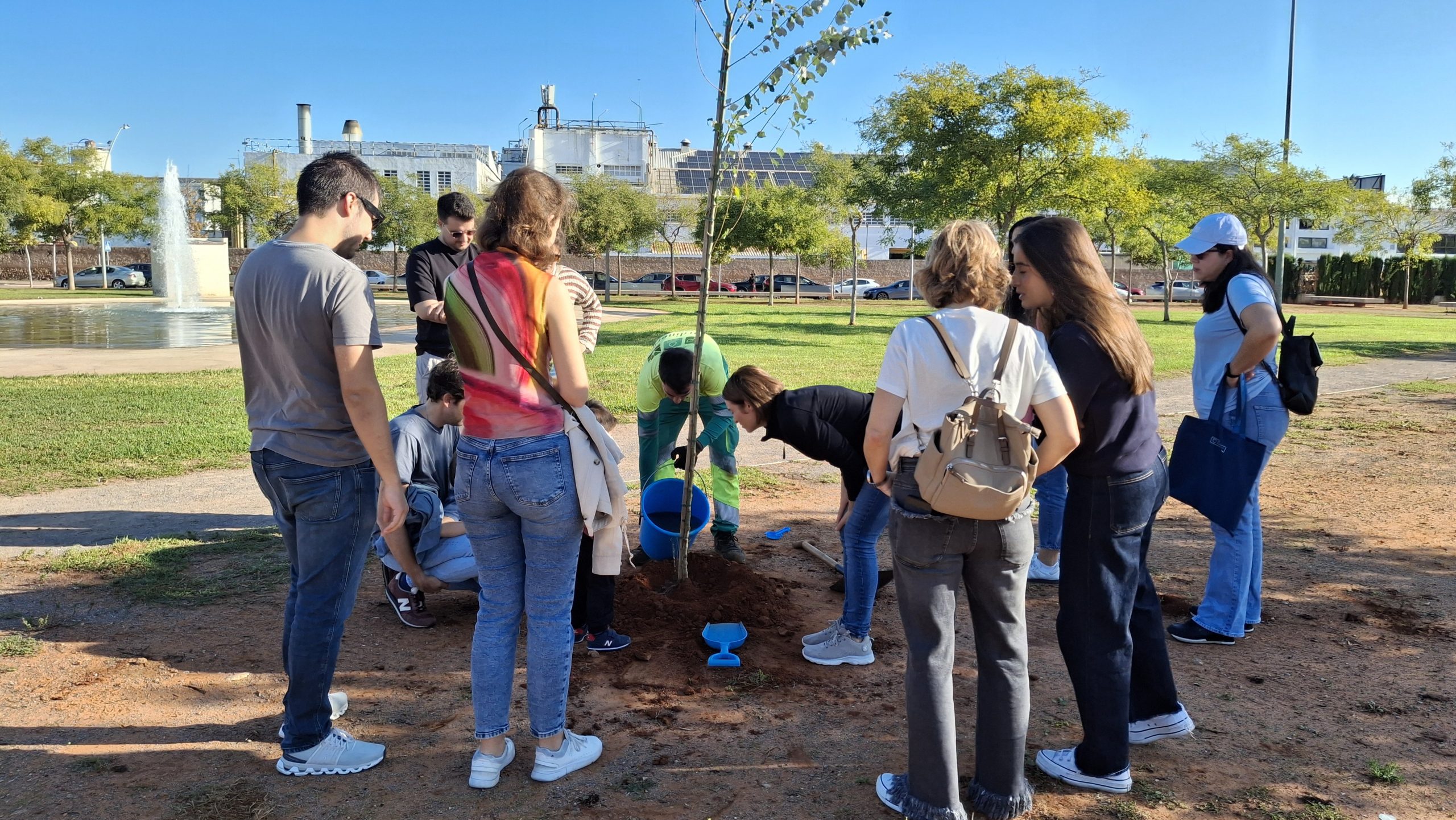 Plantació arbres CEM