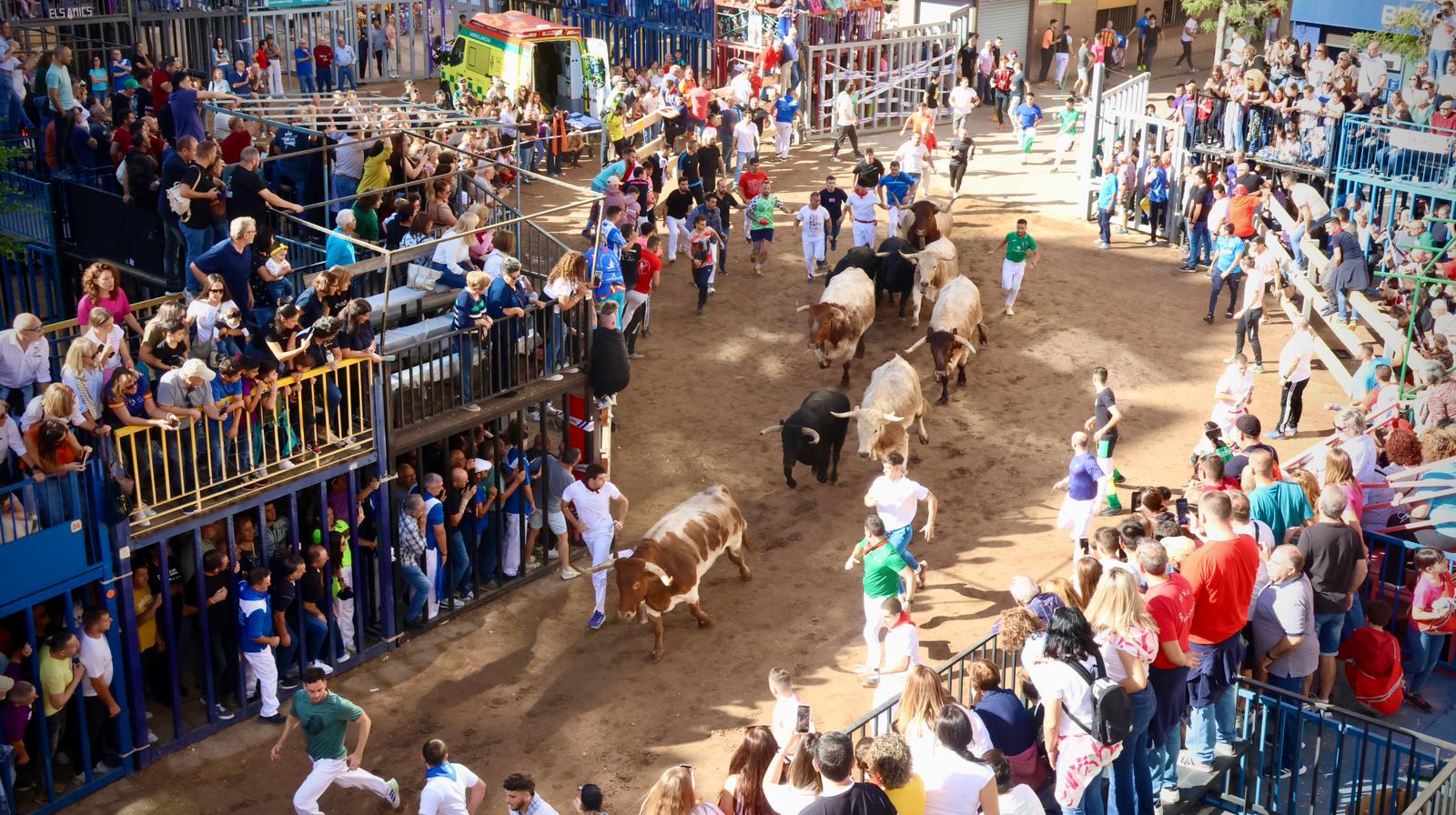 La Fira d’Onda reafirma su liderazgo taurino con el encierro de Guarismo 2 y los toros de Murteira Grave y Palha