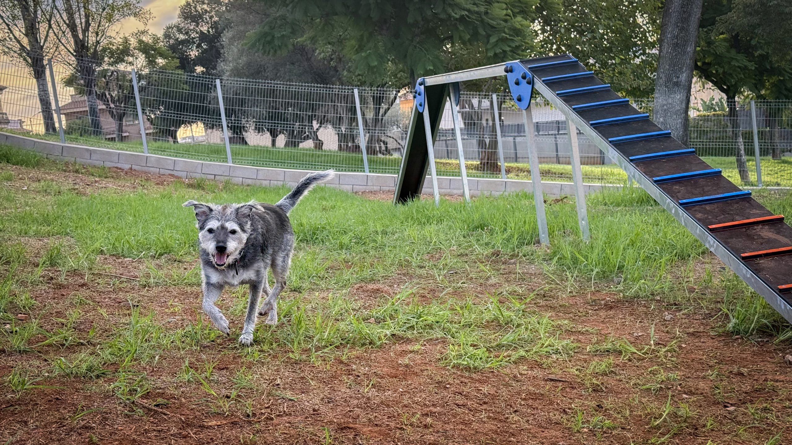 Onda amplía sus espacios públicos con la apertura del nuevo parque canino de la Serratella