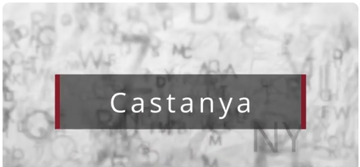 Paraula del dia «castanya»