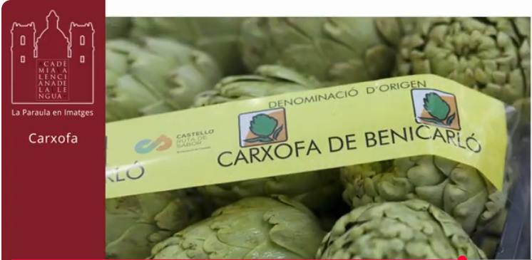 Paraula del dia «Carxofa»