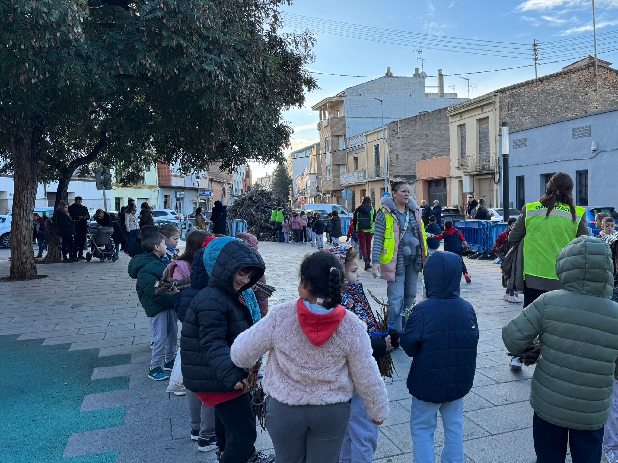 Escolares de Almassora llevan la leña para la hoguera y visitan a Sant Antoni