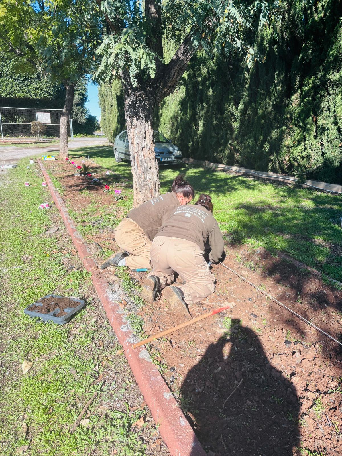 ‘Burriana Inserta’ impulsa la millora d’espais municipals amb actuacions de jardineria