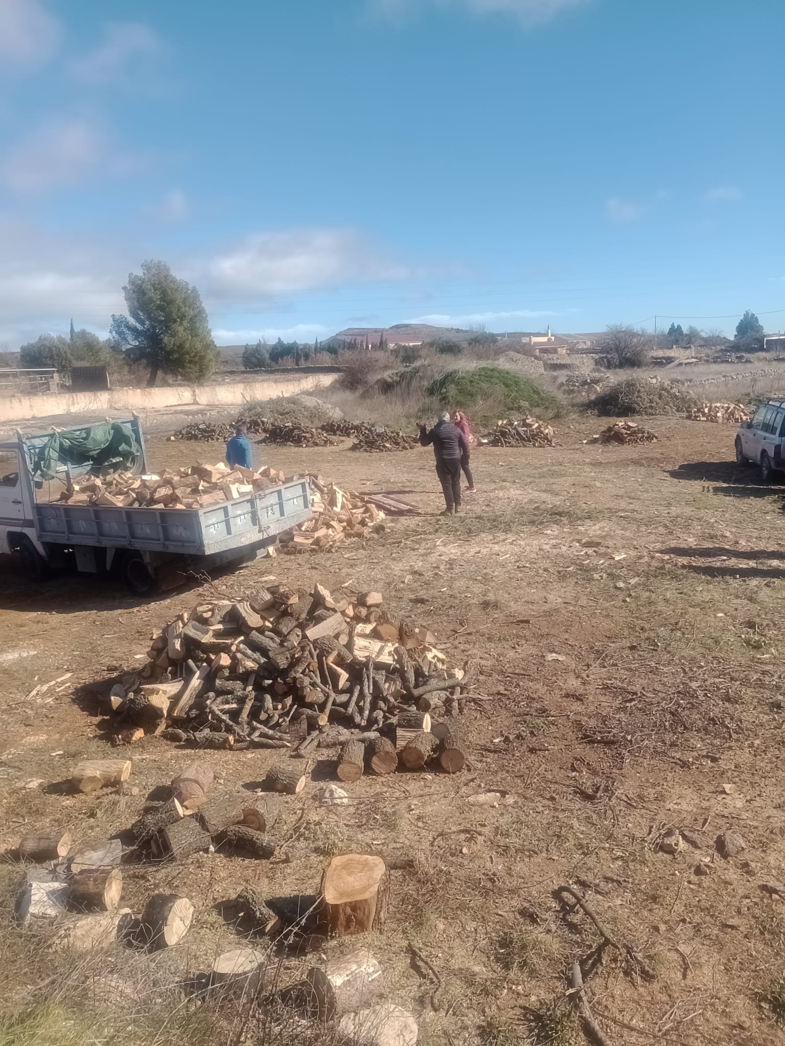 Vilafranca s’acomiada de Sant Antoni 2026 amb la subhasta de troncs