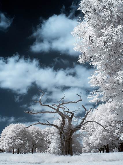 SUSANA MAR  «Espectroscòpies»