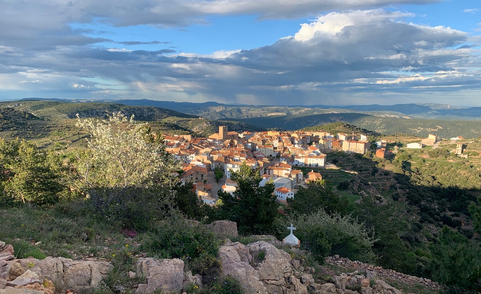 Vistabella aprova una ordenança per a garantir la conservació del medi natural i previndre incendis