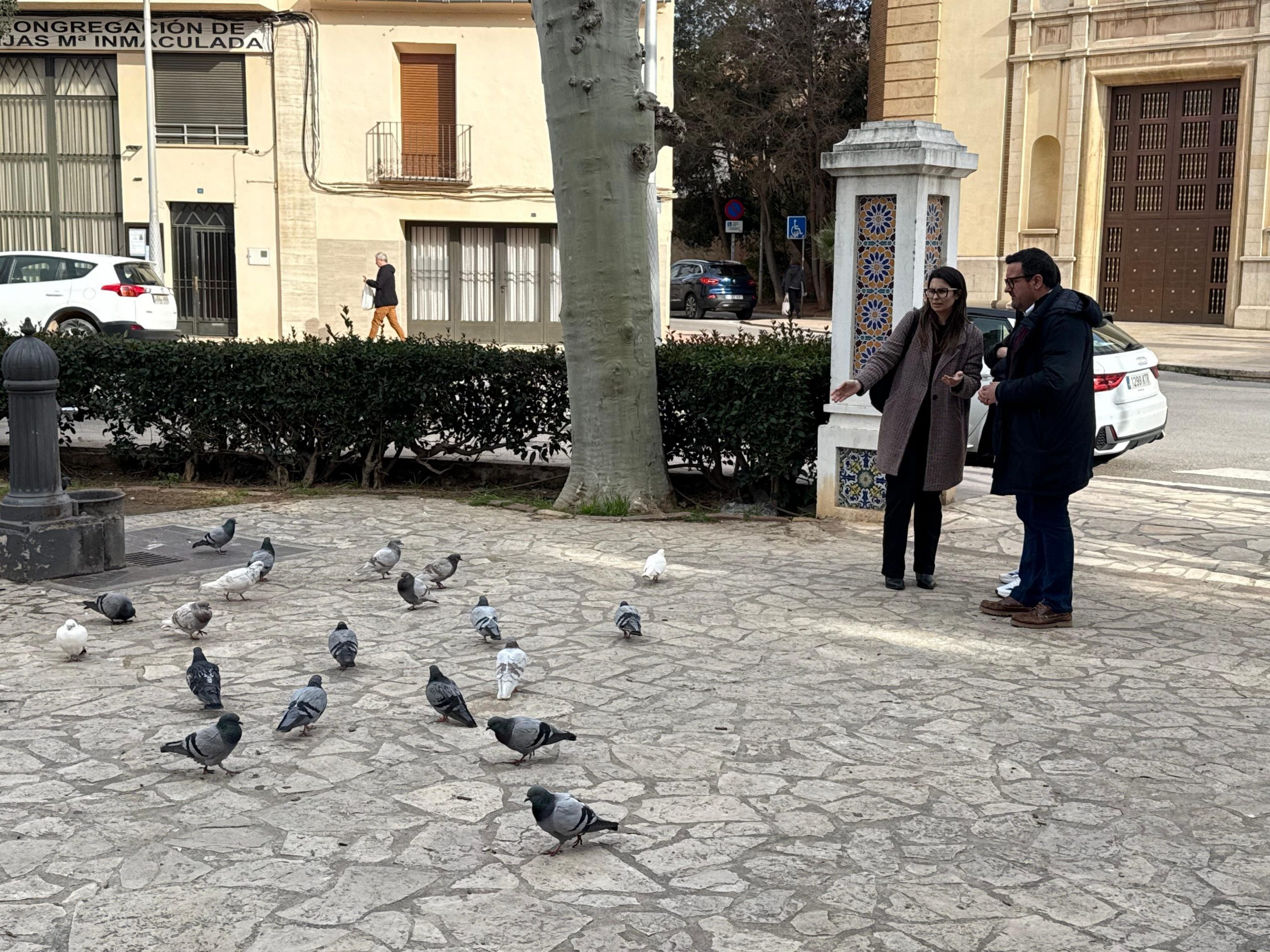 Casabó demana una solució per a frenar la invasió de coloms al jardí i plaça de Sant Pasqual