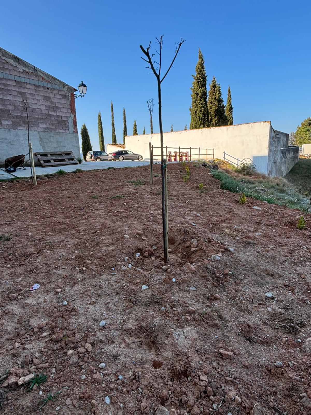 Cortes de Arenoso ultima la posada en marxa de les plaques solars del magatzem de San Vicente per a “generar estalvis i reduir la petjada de carboni”