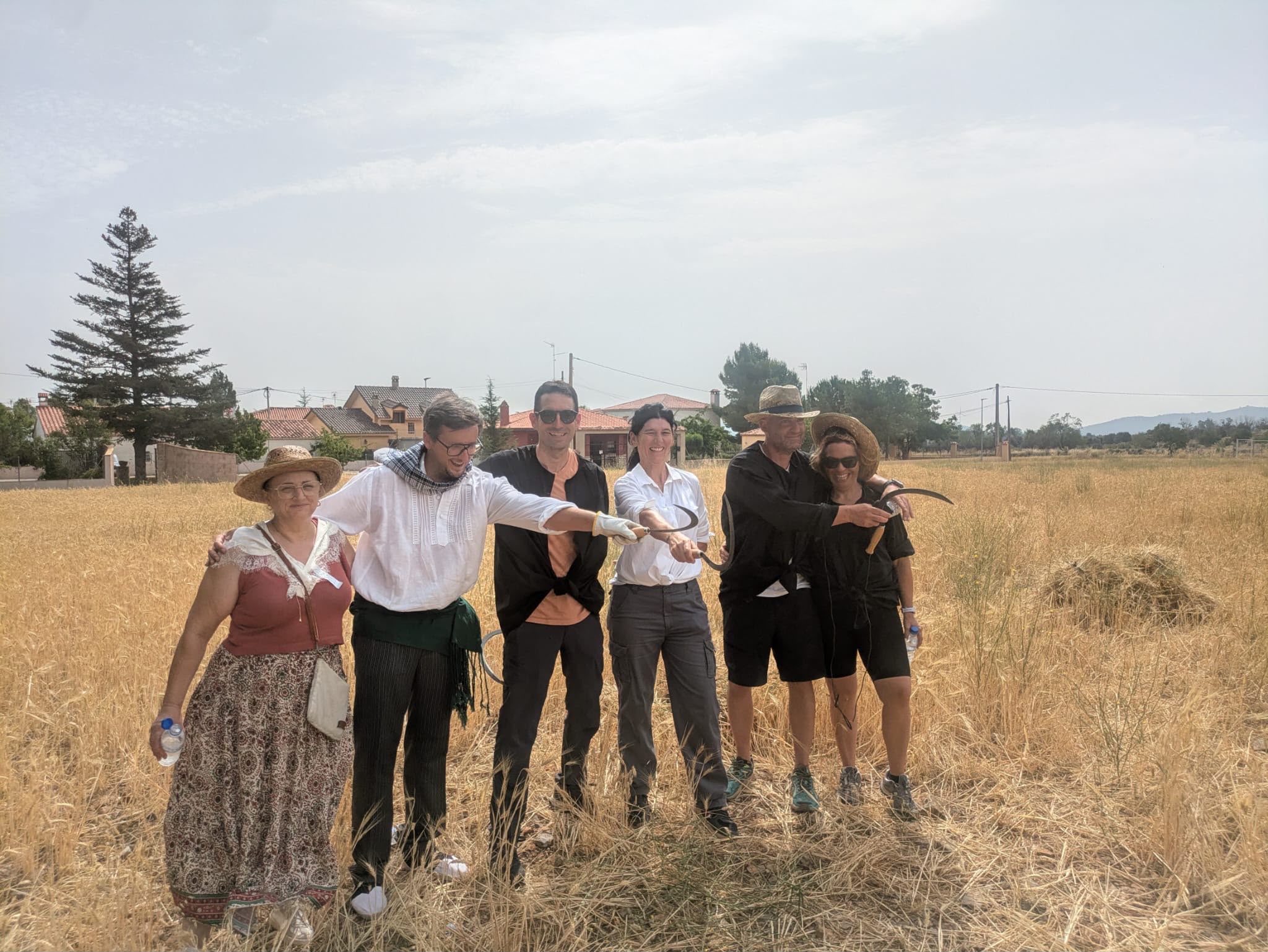 La fiesta de la Siega y la Trilla congrega de nuevo en la Villa de El Toro a mayores y niños.