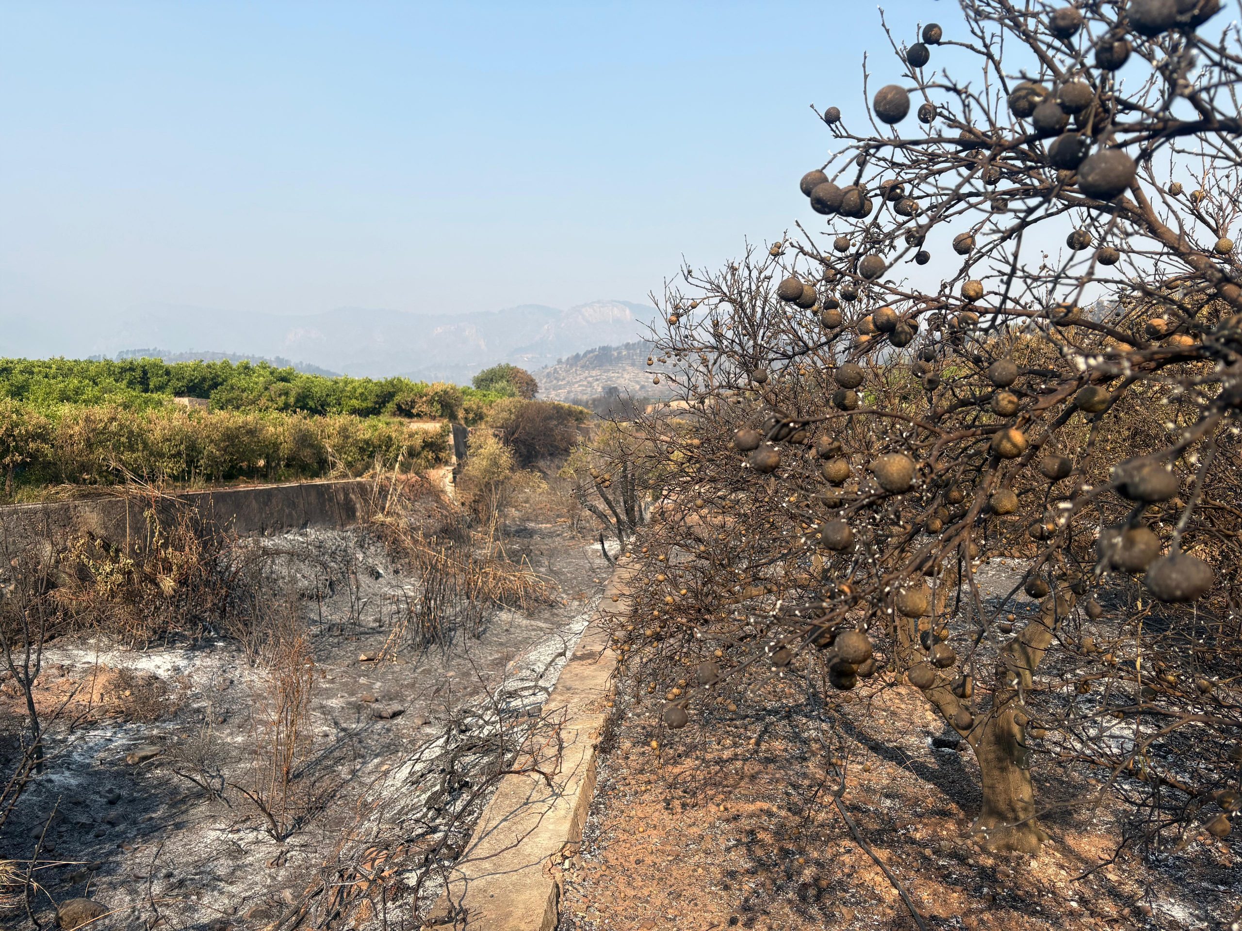 LA UNIÓ reclama un Pla Extraordinari de Recuperació Agrària perquè l’incendi de la Serra d’Espadà no provoque l’abandó irreversible del territori