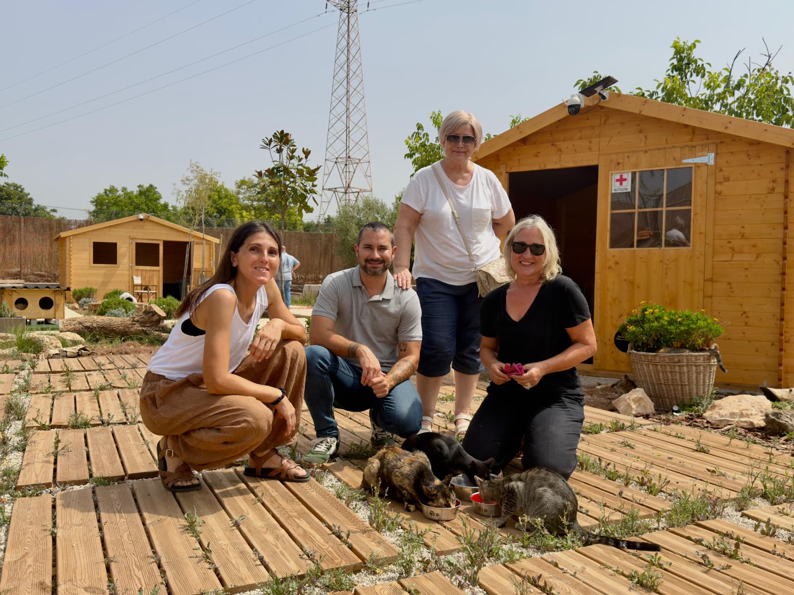 L’Alcora impulsa un pionero centro municipal de protección felina