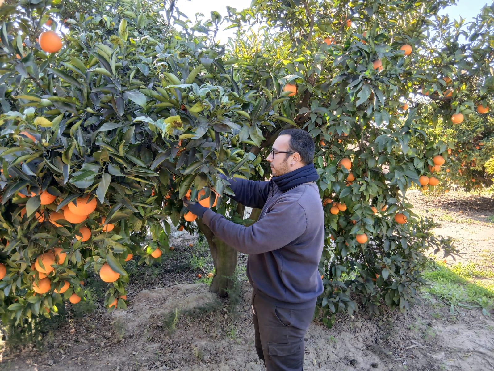 LA UNIÓ té a 200 joves en llista d’espera per a accedir a les ajudes d’incorporació a l’activitat agrària que segueixen sense convocar-se