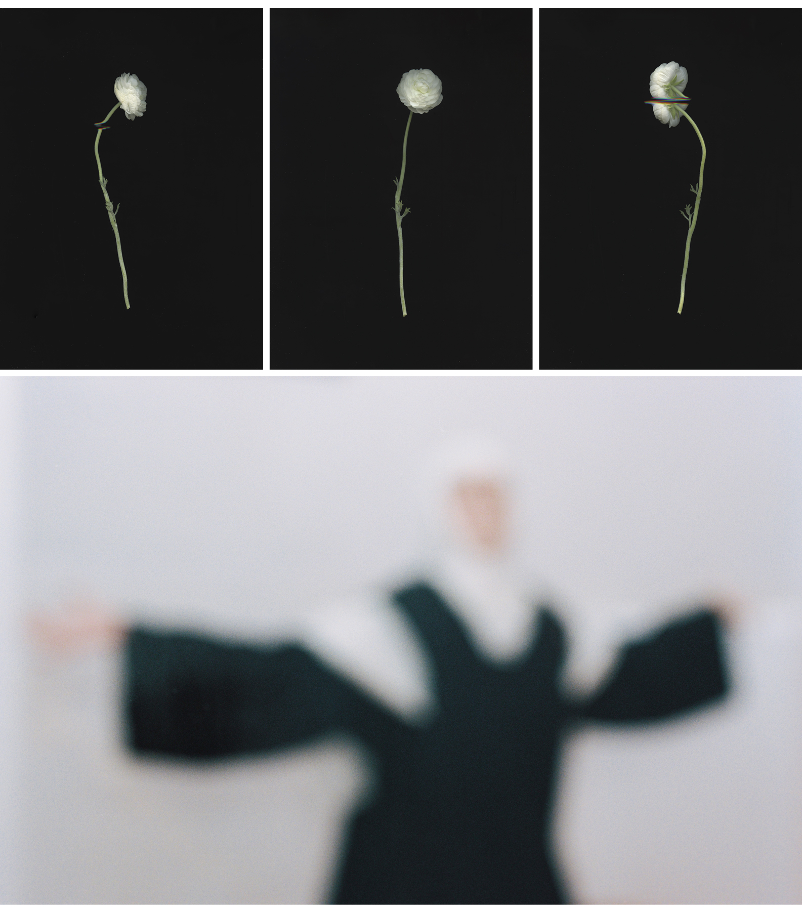 Cita amb el talent emergent de l’escena artística valenciana: arranca la 12a Mostra TEST a Vila-real