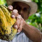 La paraula del dia «xocolate»