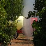 LA UNIÓ adverteix que una nova decisió europea incrementarà els costos per als agricultors valencians i li farà perdre competitivitat enfront de tercers països