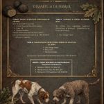 Vistabella del Maestrat celebra la XVIII Jornada de la Tòfona amb activitats de camp i propostes gastronòmiques