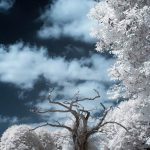 SUSANA MAR  «Espectroscòpies»