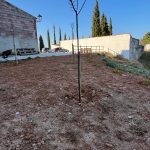 Cortes de Arenoso ultima la posada en marxa de les plaques solars del magatzem de San Vicente per a “generar estalvis i reduir la petjada de carboni”