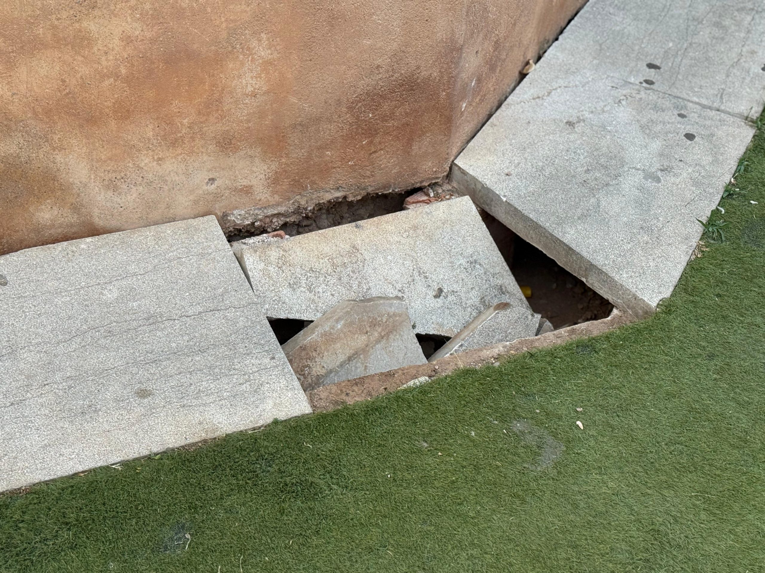 El PP lamenta l’estat d’abandó en el qual es troba la Torre Motxa i el seu entorn