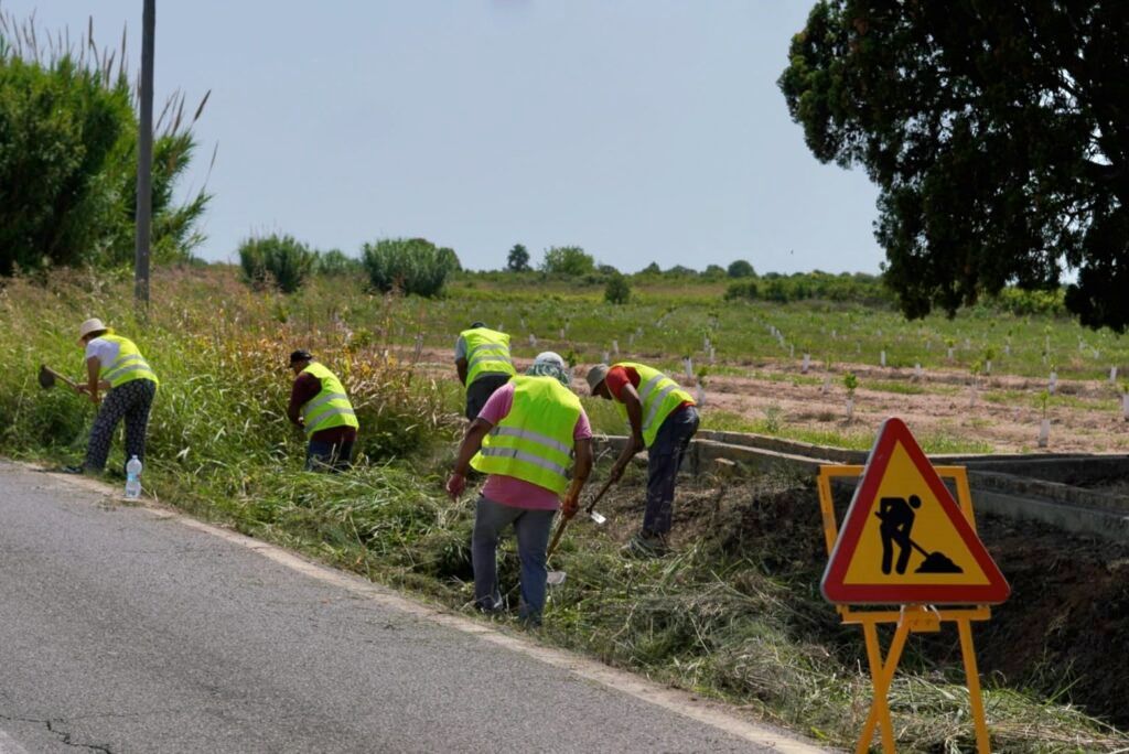 Burriana destinarà més de 236.000 euros al programa de foment de l’ocupació agrària 2026