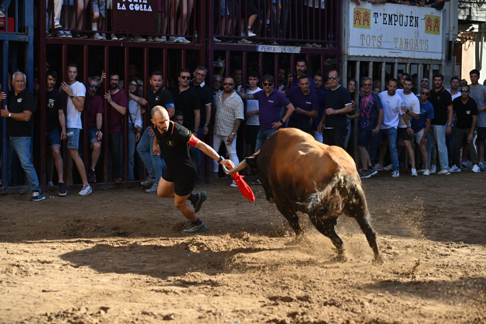 Última tarde taurina de las fiestas de Santa Quitèria 2026